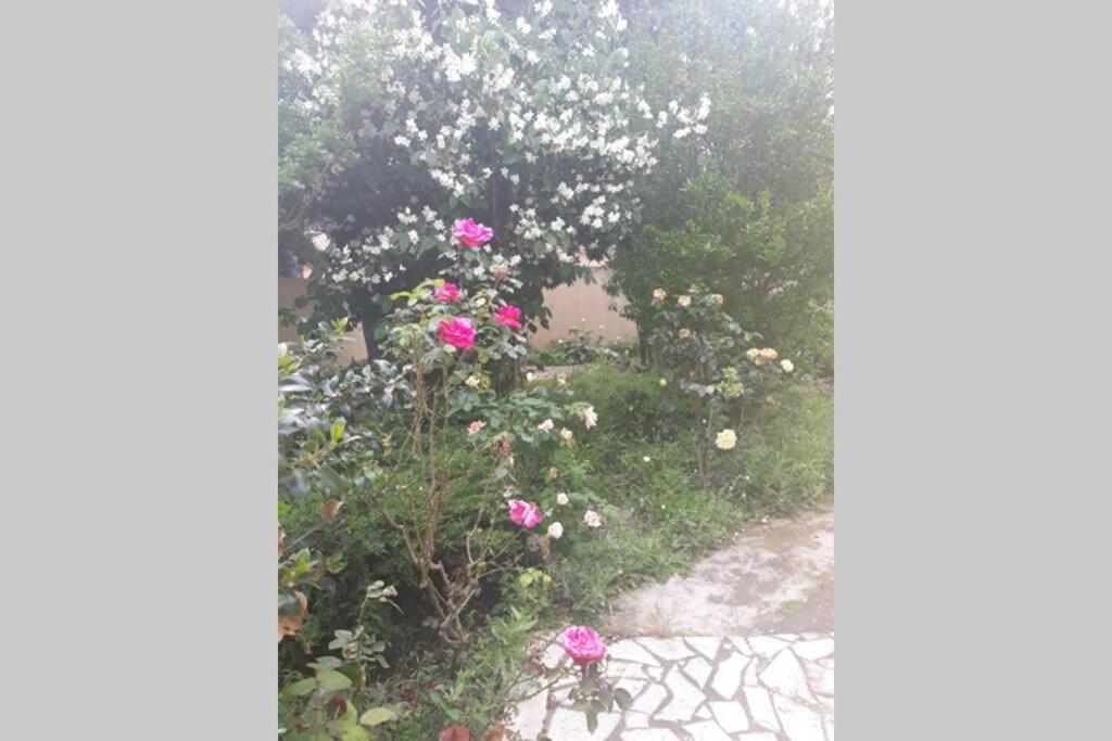 Villa 3 Etoiles Pres Des Plages, Parking, Wifi, Clim Sauvian 外观 照片